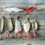 Spoons - how to choose? Selection guide 