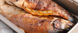 Что нужно знать про рыбу сибас: как выглядит и как приготовить морской волк