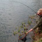 How to fish with a Moscow rig - the secrets of fishing with a retractable leash