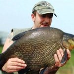Bream fishing in July: Where and when to catch bream in July