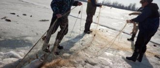 ловля рыбы сетью зимой