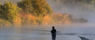 Мужчина рыбачит в тумане.