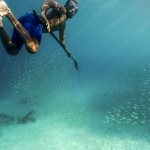 Features of spearfishing