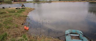 Paid fishing in Pirogovo - review of reservoirs, prices, contacts and reviews