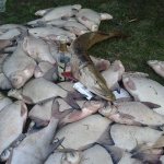 Рыбалка в Башкирии