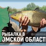 Рыбалка в Омской области и лучшие рыбные места