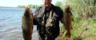 Рыбалка в Ставропольском крае - куда поехать, обзор платных и бесплатных водоемов