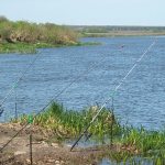 'Рыболовные места в Липецкой области: реки, озера и лучшие "платники"' width="826