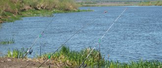'Рыболовные места в Липецкой области: реки, озера и лучшие "платники"' width="826