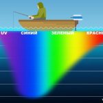 Спектр светопроницаемости в воде